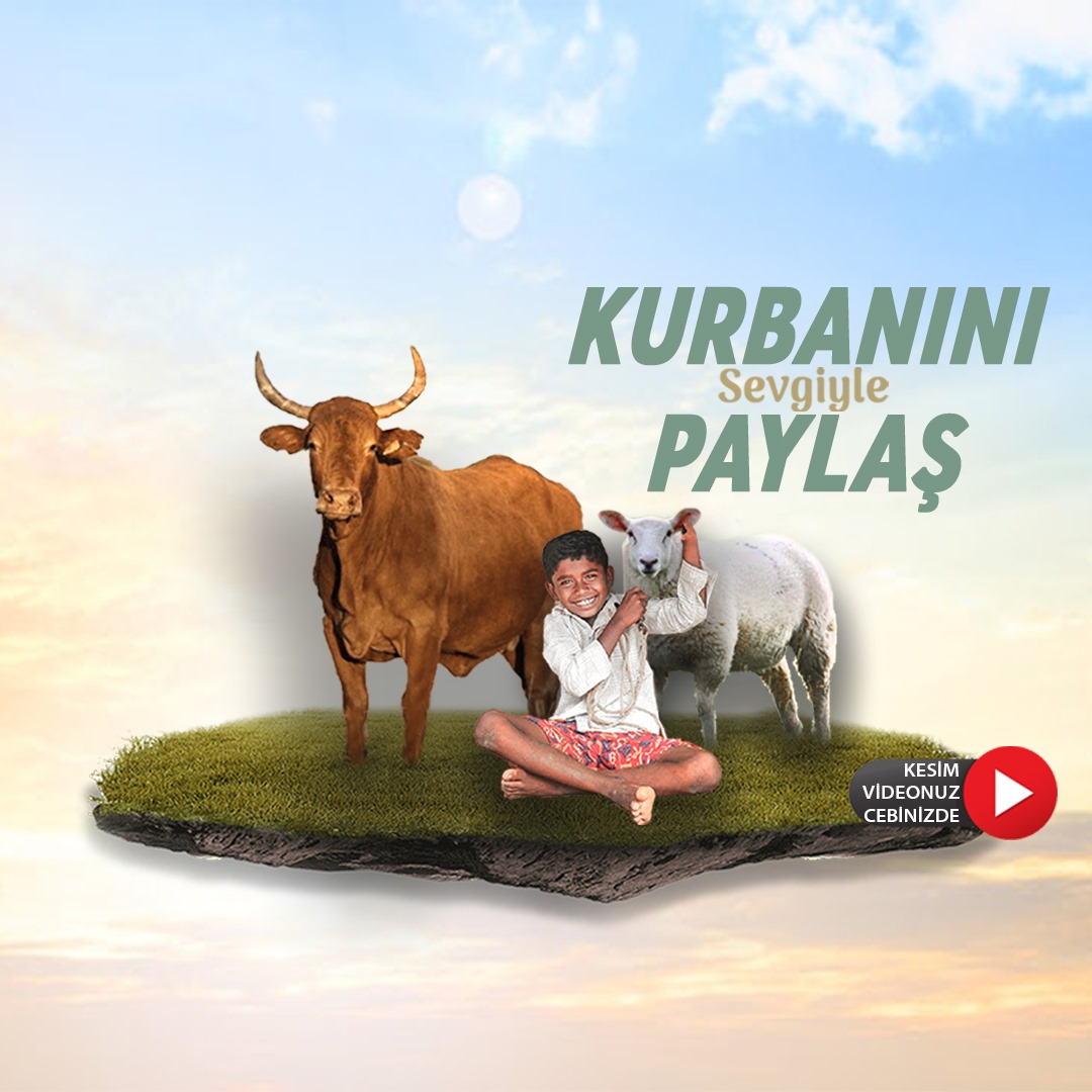 Büyükbaş Kurban Hissesi