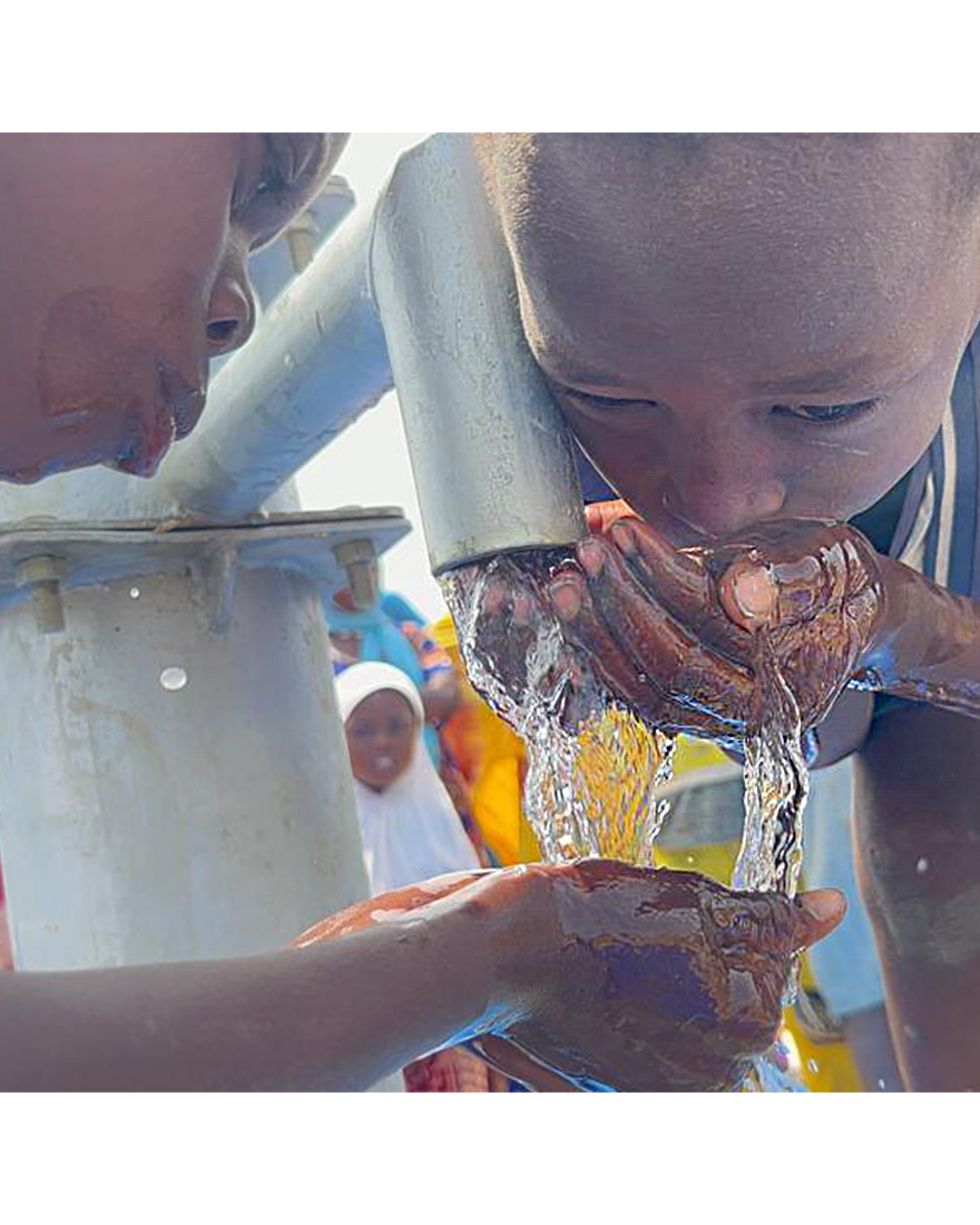 Asya Su Kuyusu - Hisse